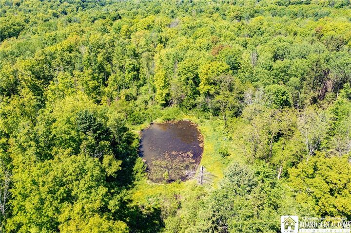 Property Photo: 532 Eccles Road NY 14747