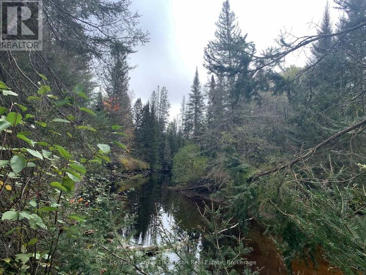 Photo de la propriété:  101 Proudfoot Road  ON P0A 1Z0 