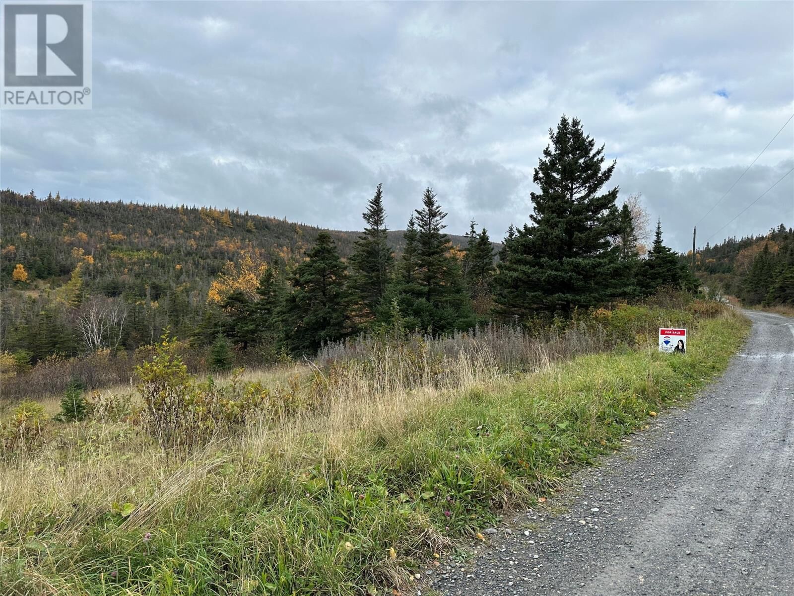 Property Photo:  Lots 0-3 Neddies Harbour Road  NL A0K 3V0 