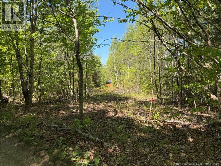 Property Photo:  124 Greenhill Lake Road  NB E6E 1G2 
