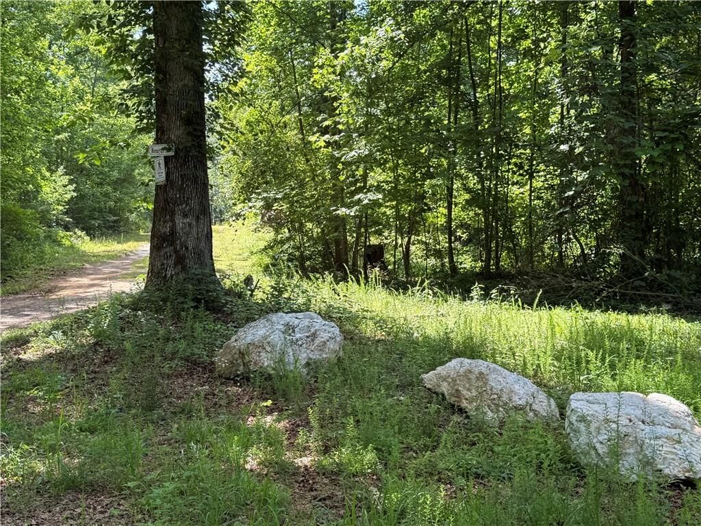 Property Photo:  20 Ac Ellijay Road  GA 30175 