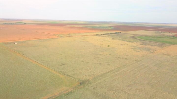 Property Photo: Ab 1580 Blk A-4 Sec 38 W/2 Of NW/4 TX 79041