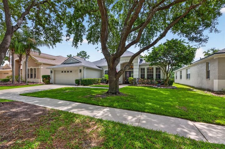 Property Photo:  18127 Heron Walk Drive  FL 33647 