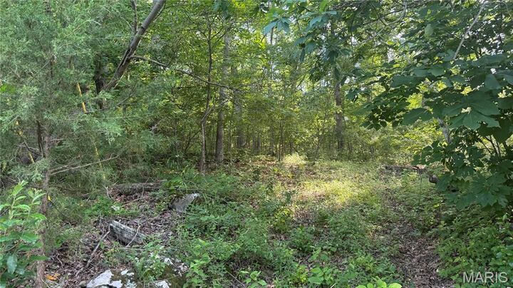 Property Photo:  9305 Beach Drive  MO 63036 