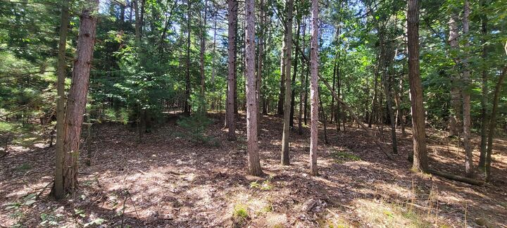 Property Photo:  S 32nd Avenue  MI 49455 