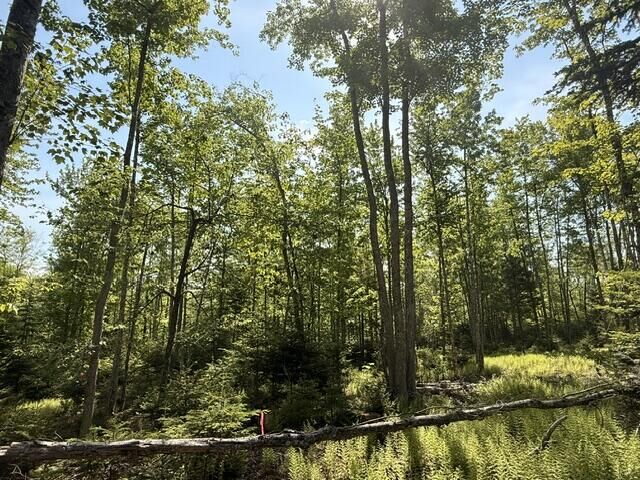 Property Photo: Lot #16 Sunset Cove Way ME 04472