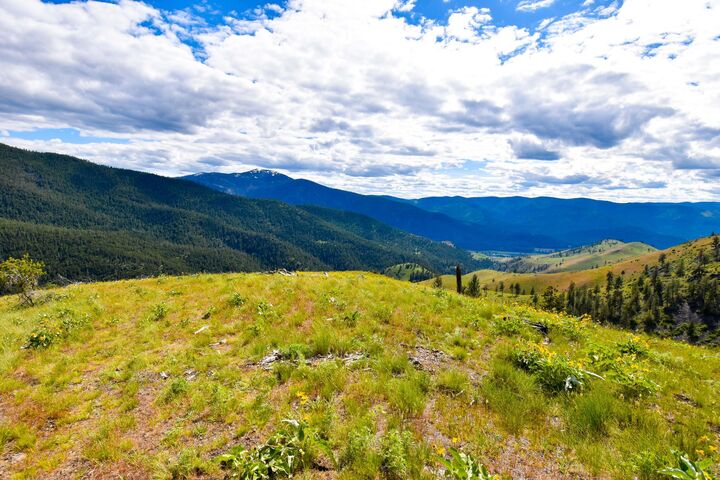 Property Photo:  285 Henry Creek Road  MT 59859 