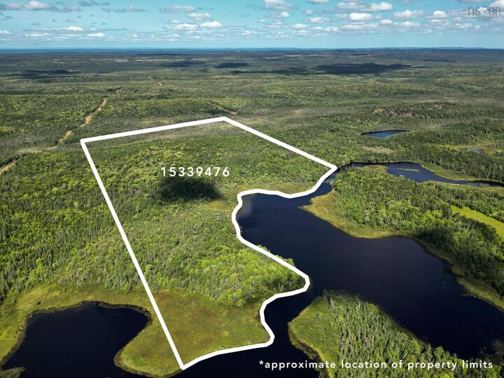 0 Salmon River Road — photo 1
