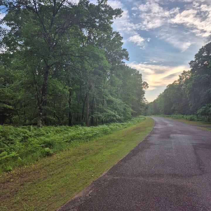 Property Photo:  Lot 216 Deerpath Road  WI 54830 