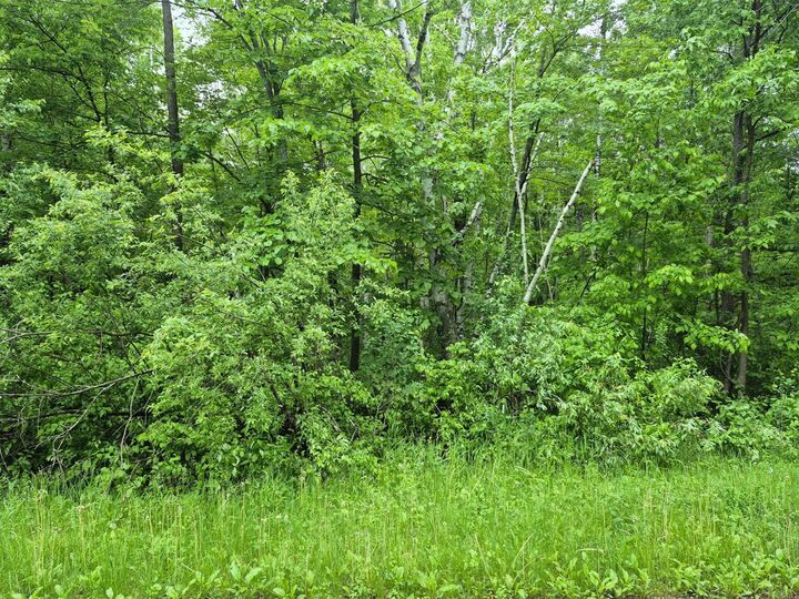 Property Photo:  Tbd Willow Dr  MN 56450 