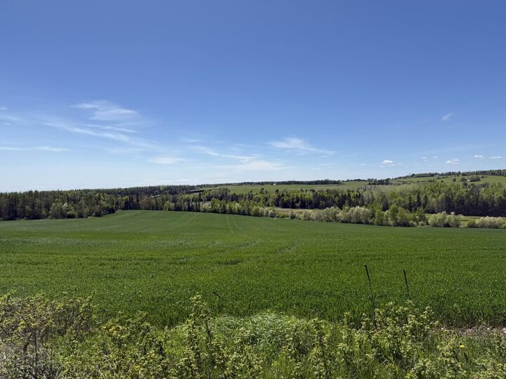 Property Photo: Acreage South Melville Road PE C0A 1J0
