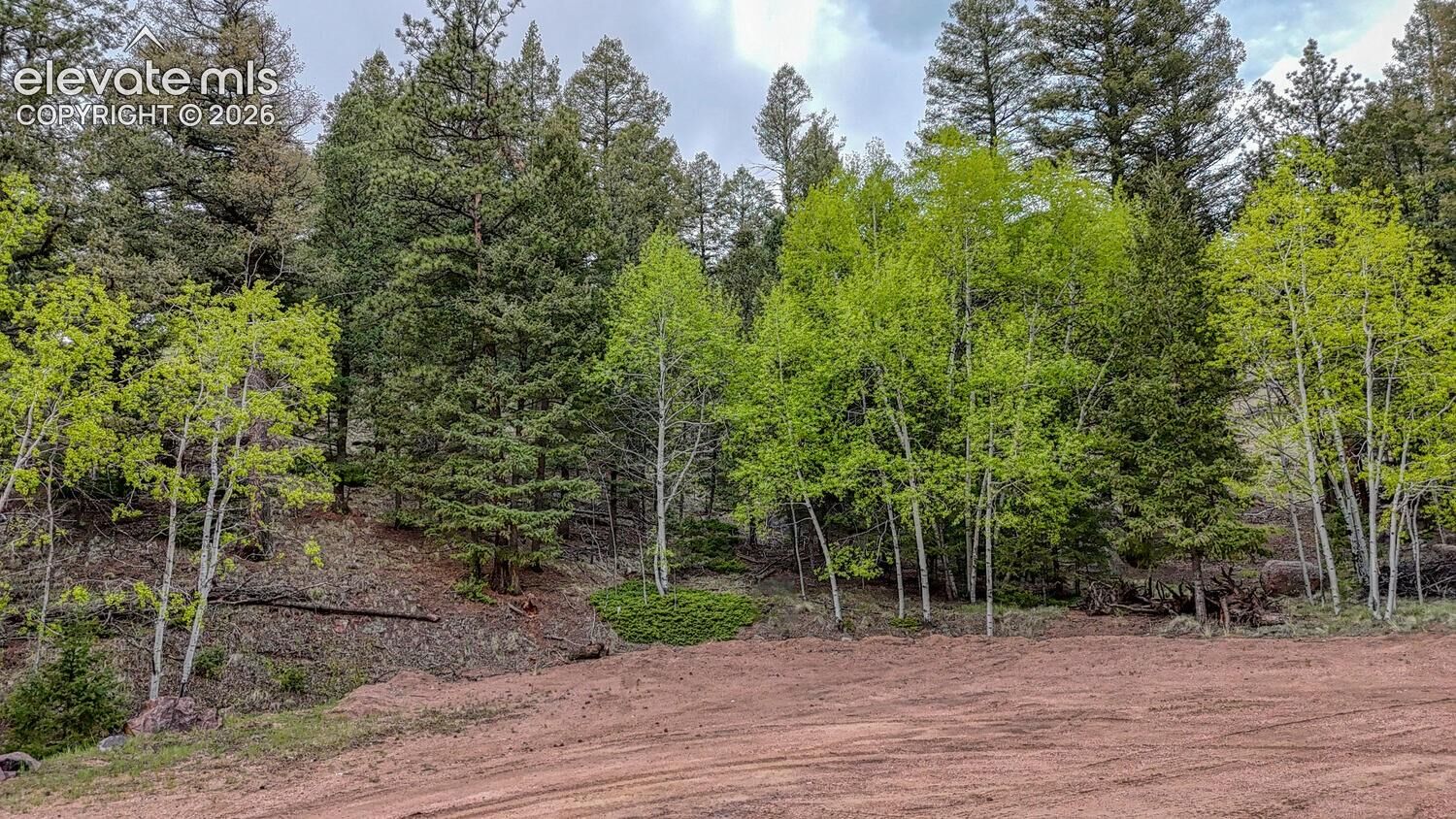 Property Photo:  918 Pinon Lane  CO 80816 
