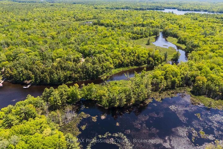 Property Photo:  1204 South Morrison Lake Road 2  ON P0E 1G0 