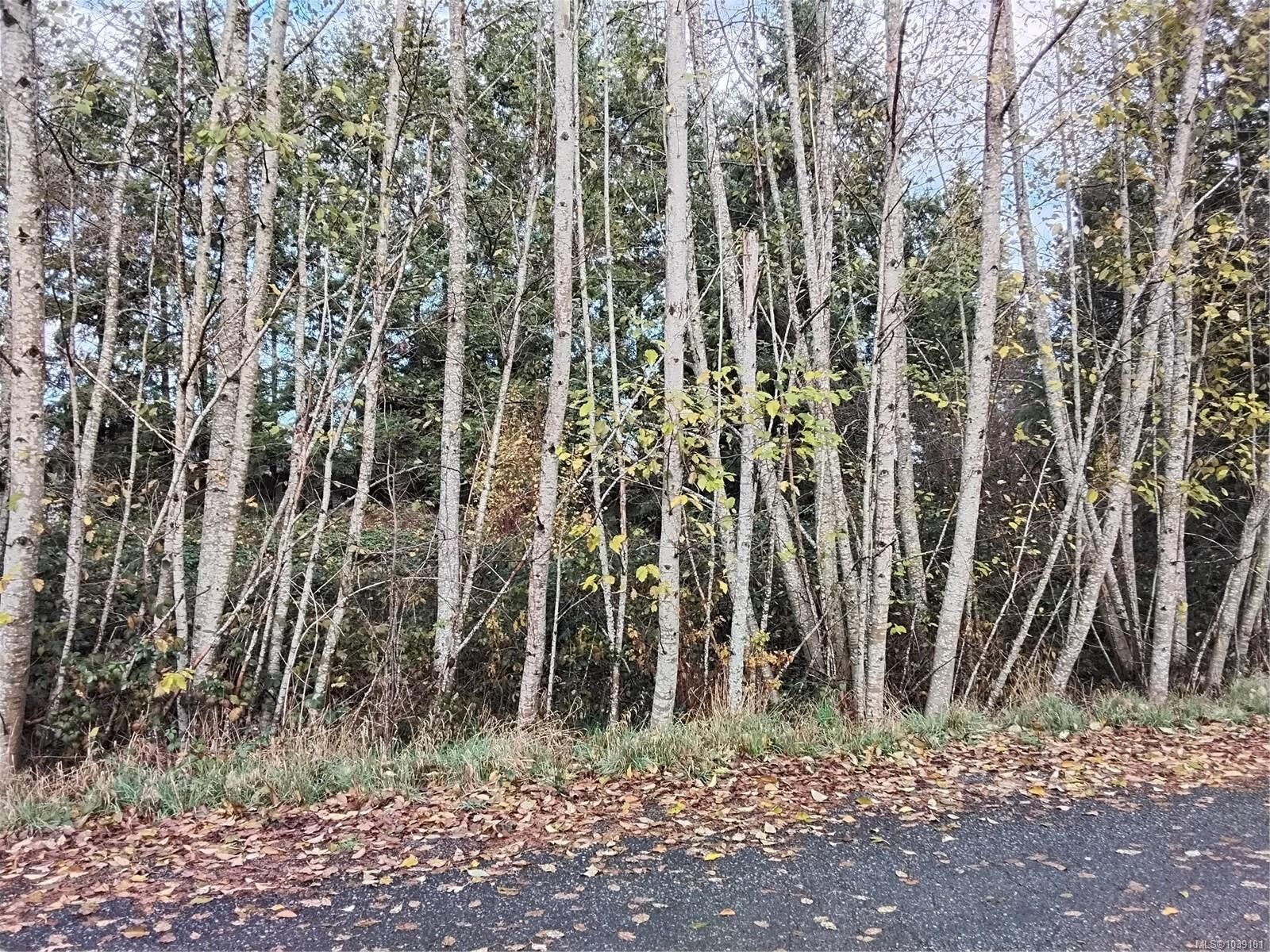 Property Photo: Lot E Tatton Rd BC V9N 7E4