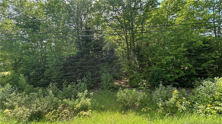 Property Photo:  Lot Route 135  NB E8R 1N1 