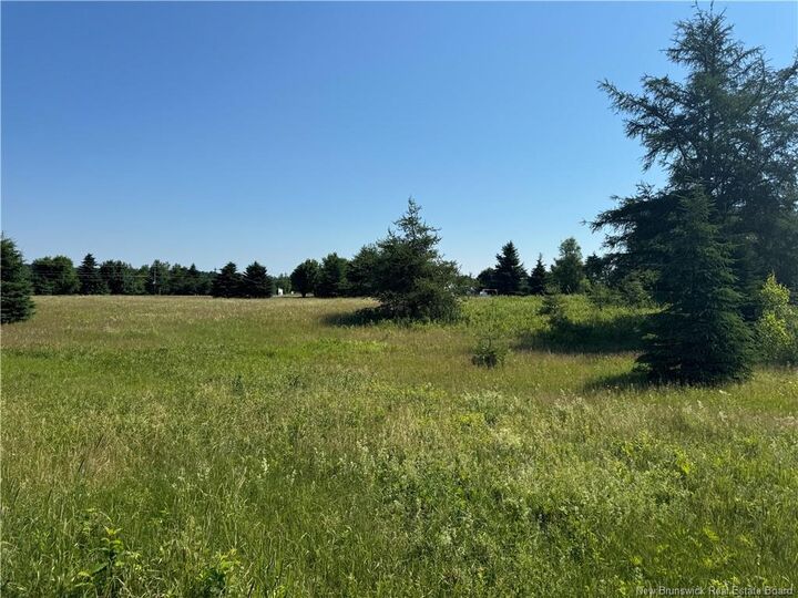 Property Photo:  Vacant Lot Gray Road  NB E4X 2G1 