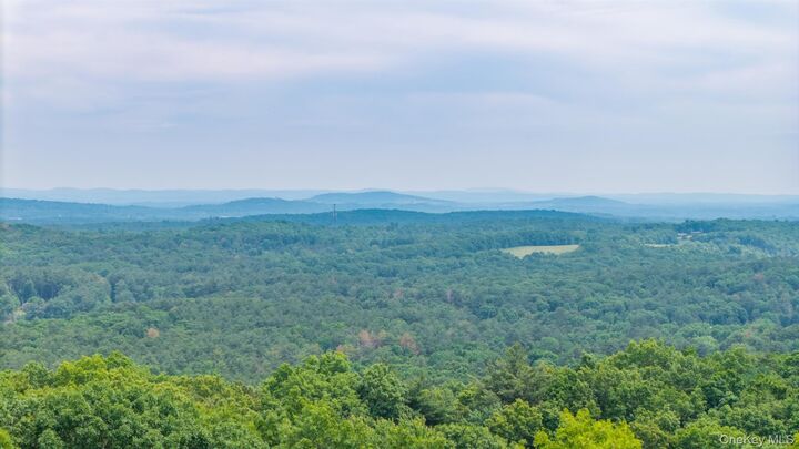 Property Photo: Tbd Skinner Lane NY 12015