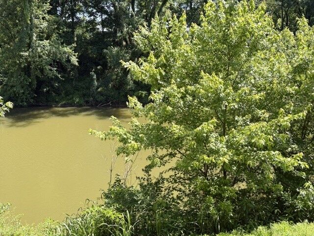 Property Photo:  1101 W Jackson St  TN 37160 