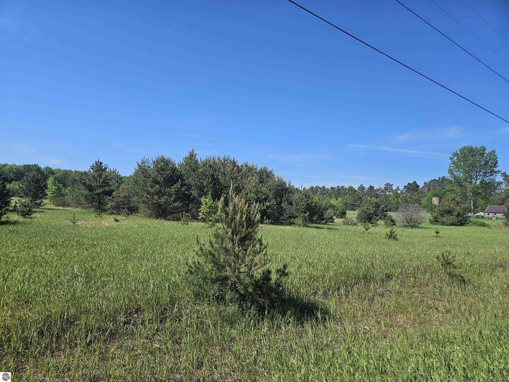 Property Photo:  V/L Parcel B SE Grass Lake Road  MI 49646 