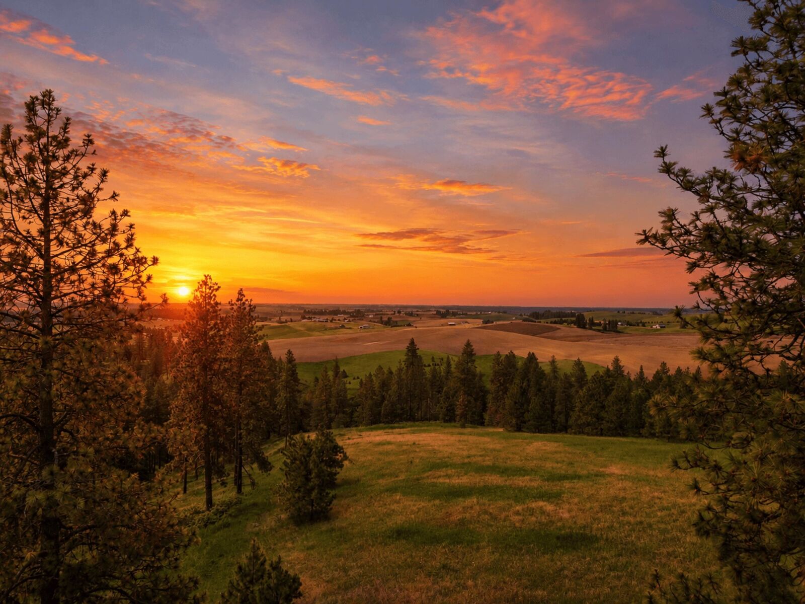 Property Photo: 9630 S Sands Rd WA 99036