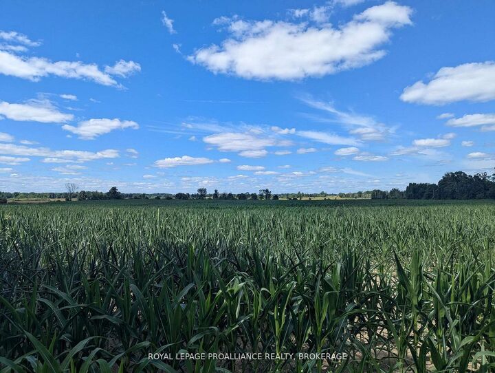 Property Photo:  2622 4th Concession Road  ON K0H 1Y0 