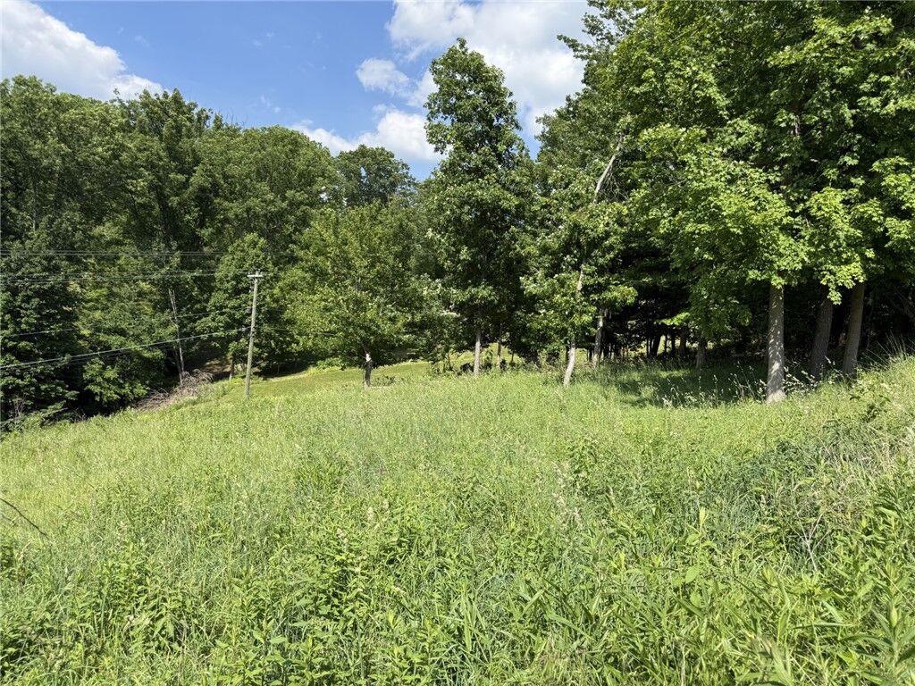 Property Photo:  Lots 206 And 208 Old Woods Drive  PA 15317 