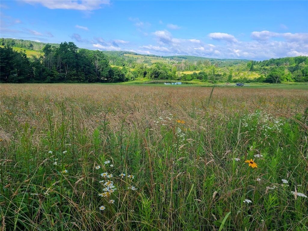 Property Photo: 10815 Church Creek Road NY 14830