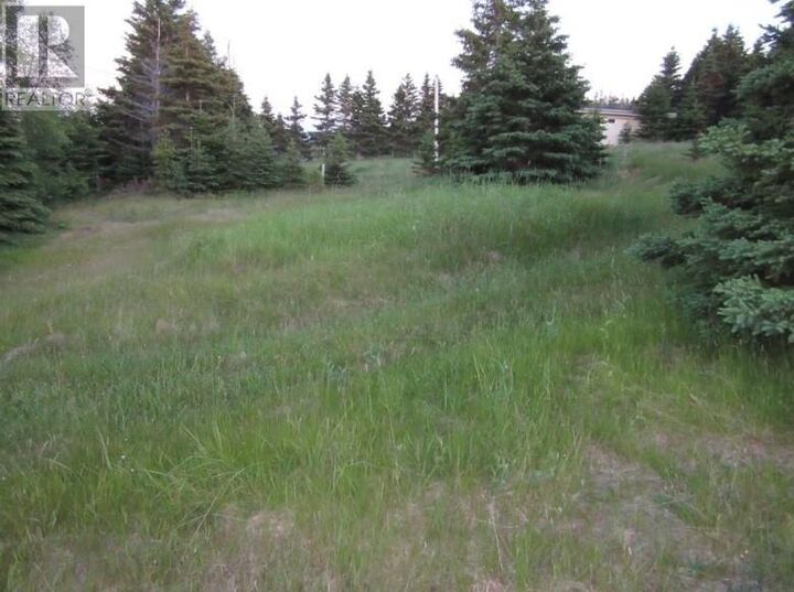 Property Photo:  157 West Side Road  NL A0B 1X0 