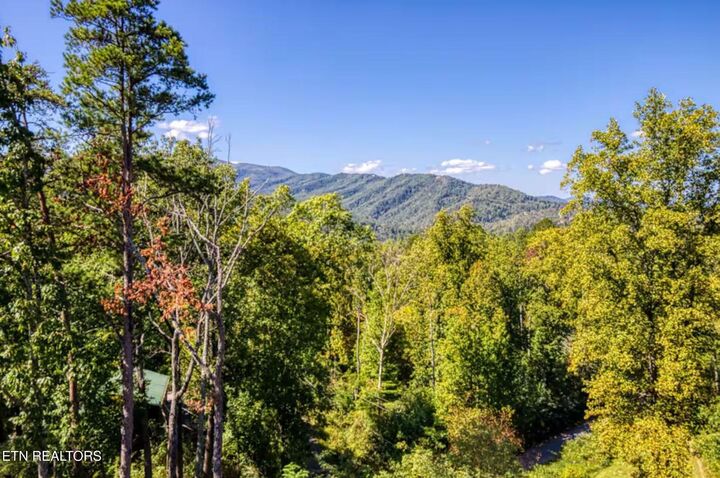 Property Photo:  622 Timber Ridge Rd  TN 37738 