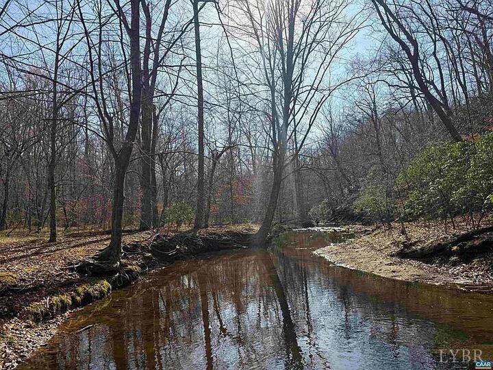 Property Photo: 0 Paynes Pond Road VA 24590