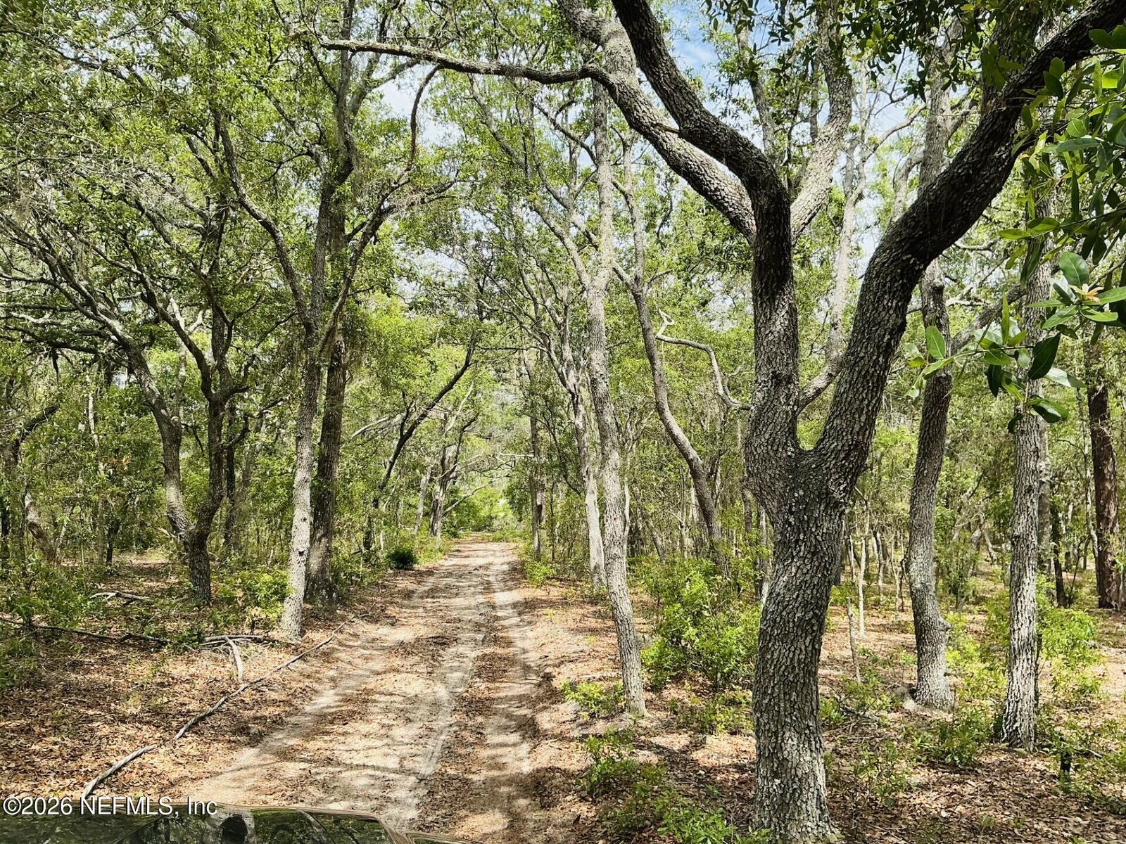 Property Photo:  1643 State Rd 20  FL 32640 