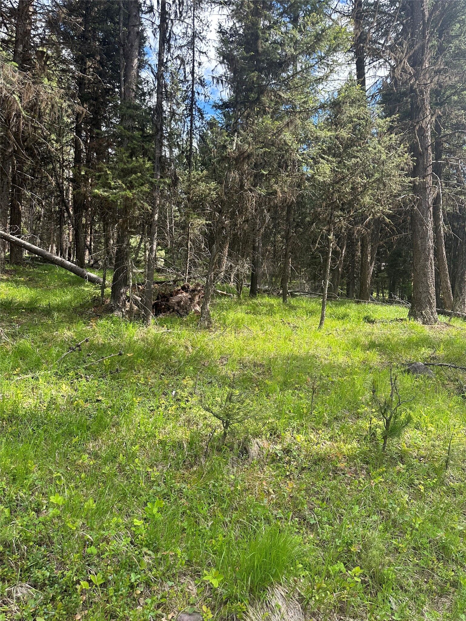 Property Photo:  1274 Grandview Drive  MT 59868 