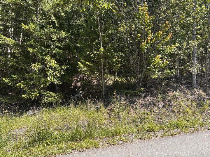 Lot 131 Aspen Road — photo 1