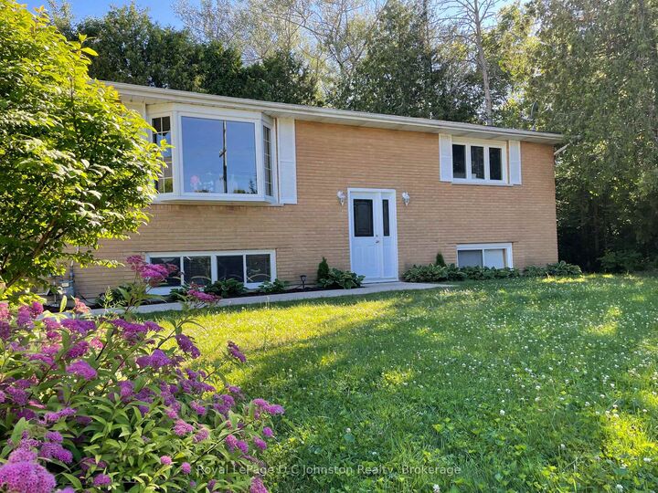 341 Palmerston Street — photo 1