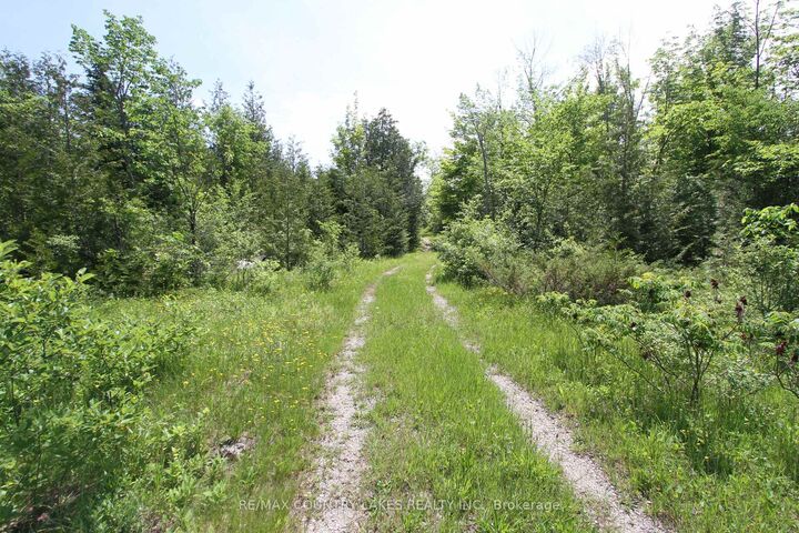 Property Photo:  Lt27 Ramblewood Trail  ON K0M 2B0 