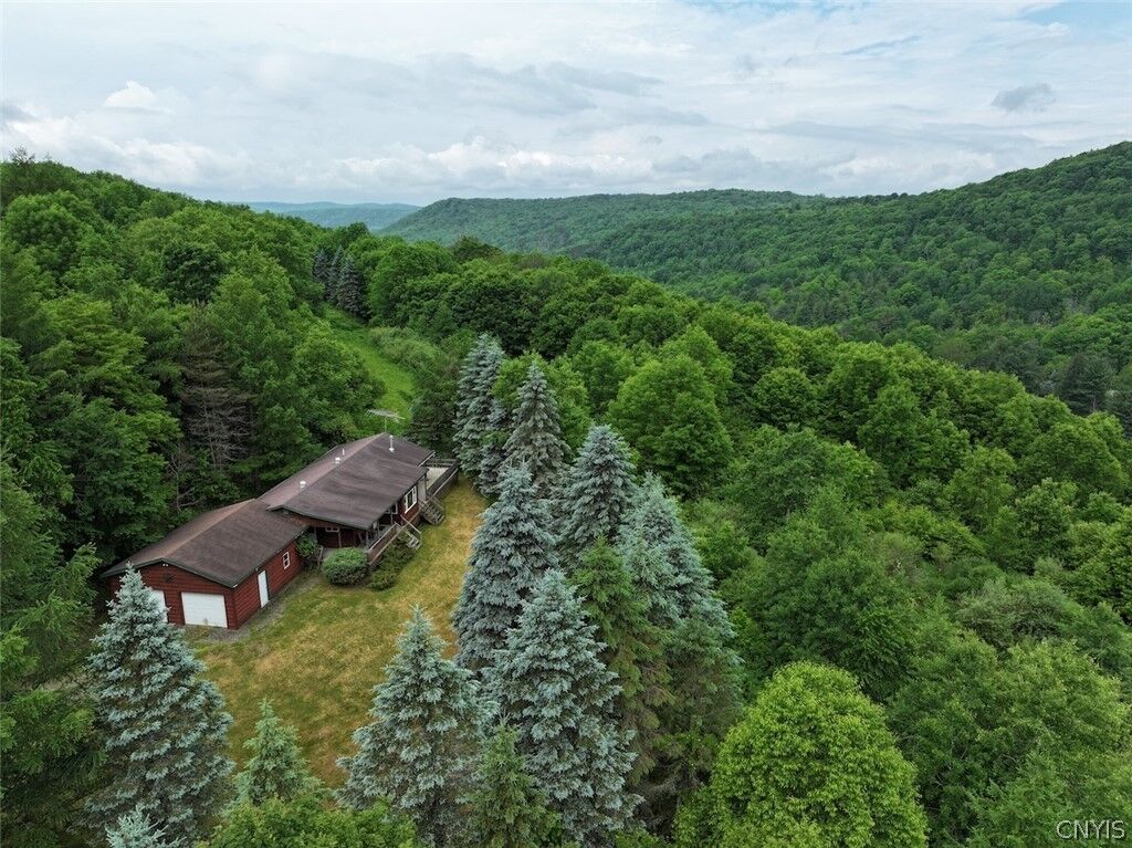 Property Photo:  3773 Haskell Valley View Road  NY 14786 