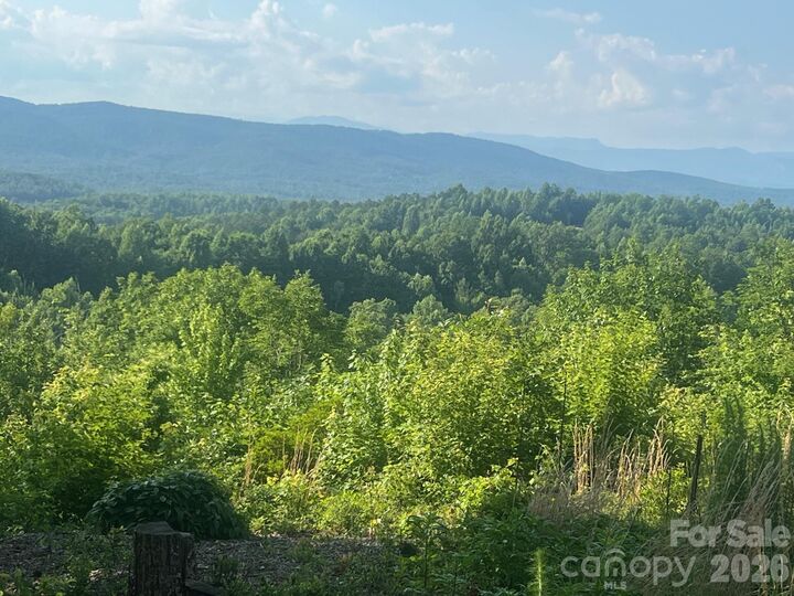 Property Photo:  253 Falls Creek Drive  NC 28761 