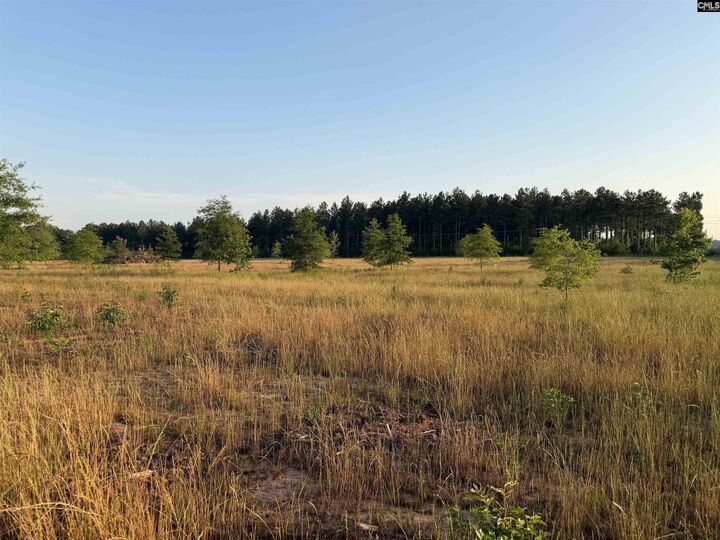 Property Photo:  000 Livingston  SC 29126 