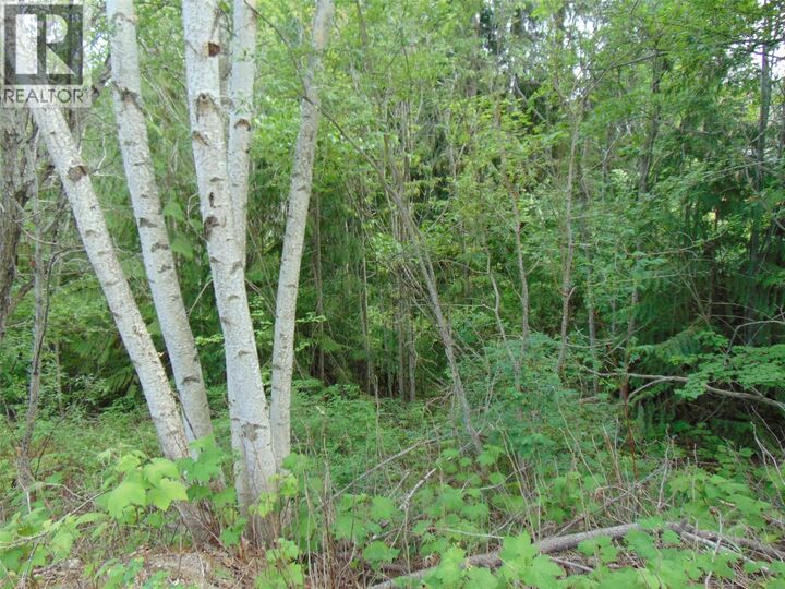 Property Photo:  Juniper Circle  BC V0E 2W2 