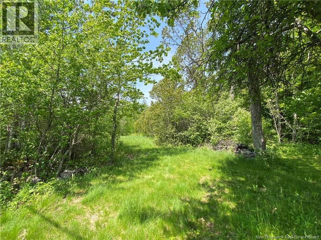 Property Photo:  Lot Route 134  NB E4P 3G9 