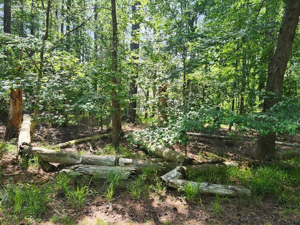 Property Photo: Lot 1061 Broadside Dr VA 23356