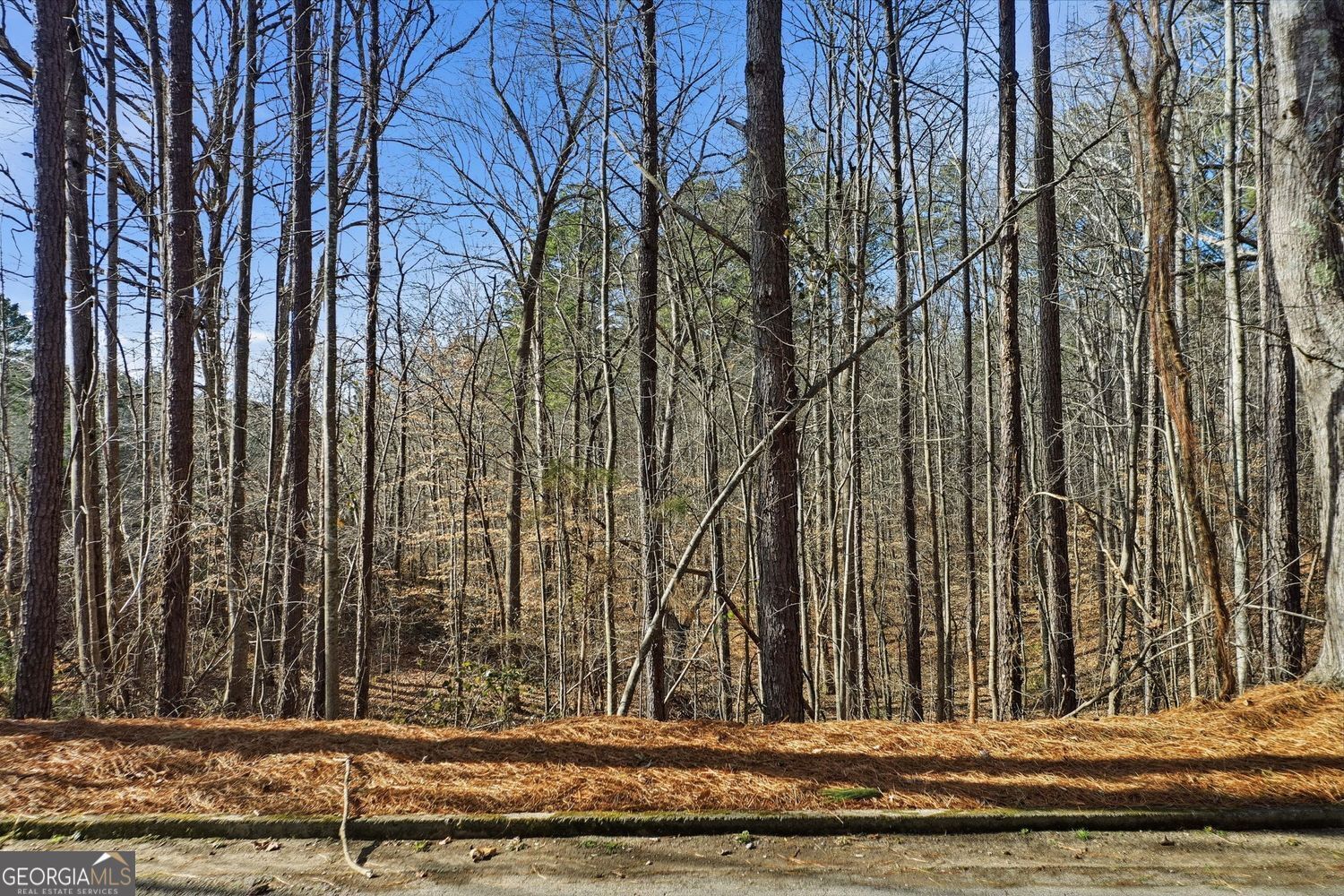Property Photo:  0 Sixes Road  GA 30114 
