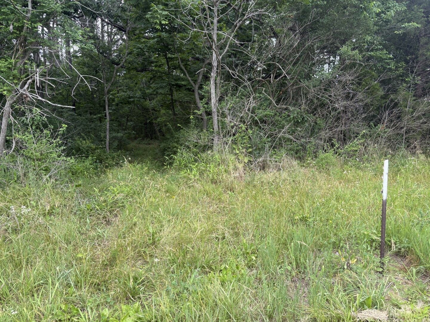 Property Photo:  000 N Sato Road  IL 62907 
