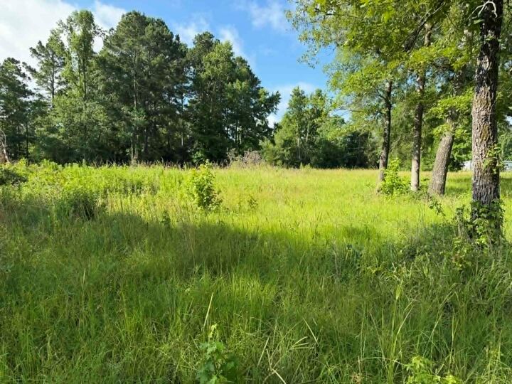 Property Photo:  194 Lindsley Lane  TX 75949 