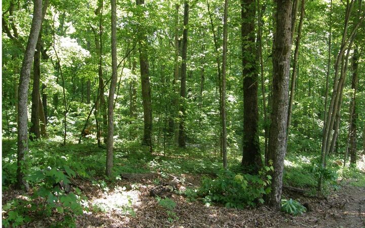 Property Photo: 14 B Breezewood Village GA 30582