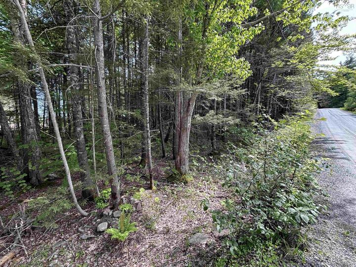 Property Photo:  Lot 17 Bruhm Lane  NS B0J 2E0 