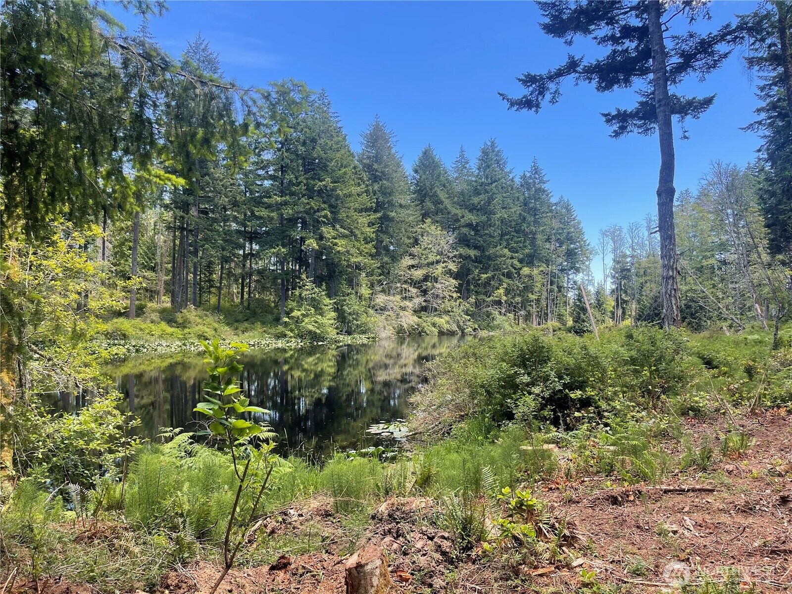 Property Photo:  0  Reef Net Road  WA 98250 