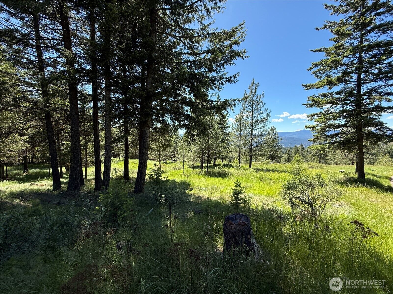 Property Photo:  5  Hidden Spring Ranch Road  WA 99166 