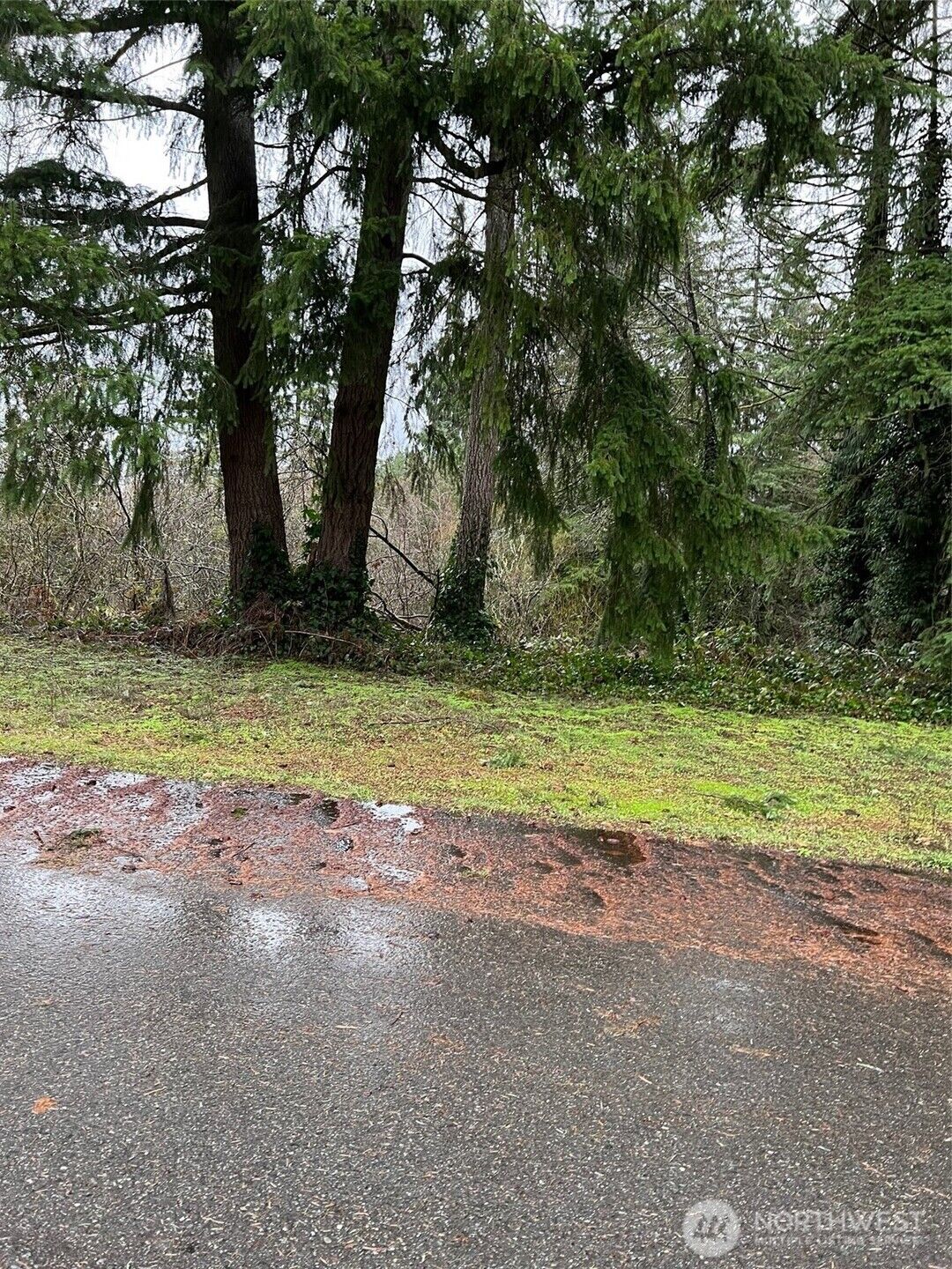 Property Photo: 186 Xx NE 161st Place WA 98072