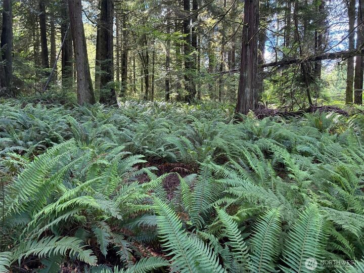 Property Photo:  1108  Connors Rd  WA 98290 